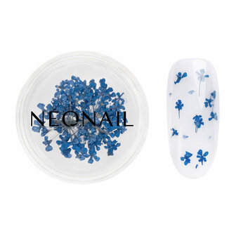 NEONAIL Dried Flowers 04 Navy