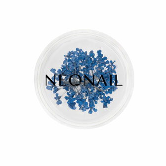 NEONAIL Dried Flowers 04 Navy