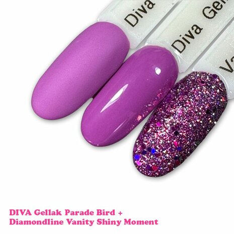 293 Diva CG Parade Bird