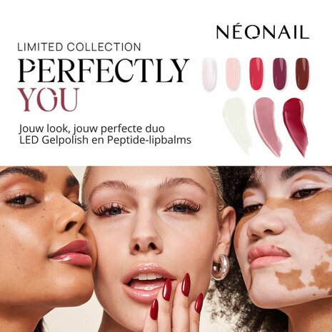 NN Cg Perfectly Collection